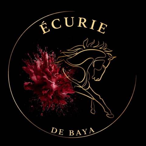 écurie de baya - élevage - reconversion - à domicile 