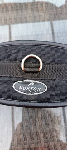 Sangle Cheval Norton 135