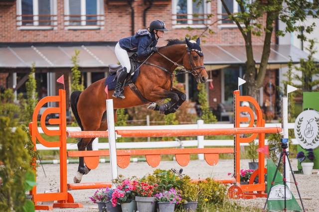 11 y.o. sport mare