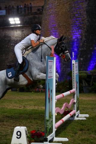 Cheval ps 7 ans
