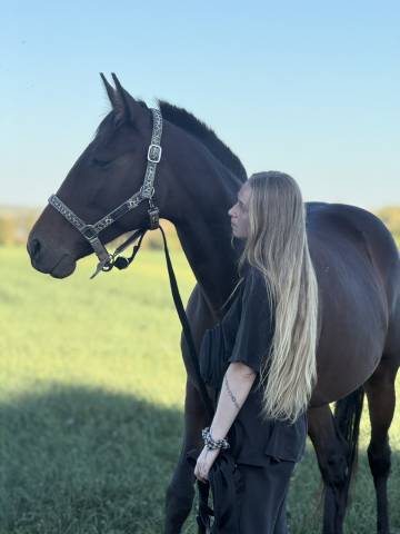 Trotteuse à vendre 