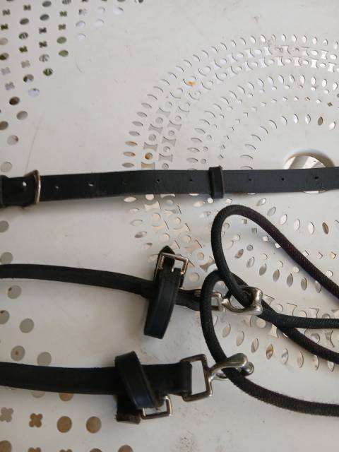Gogue Cheval