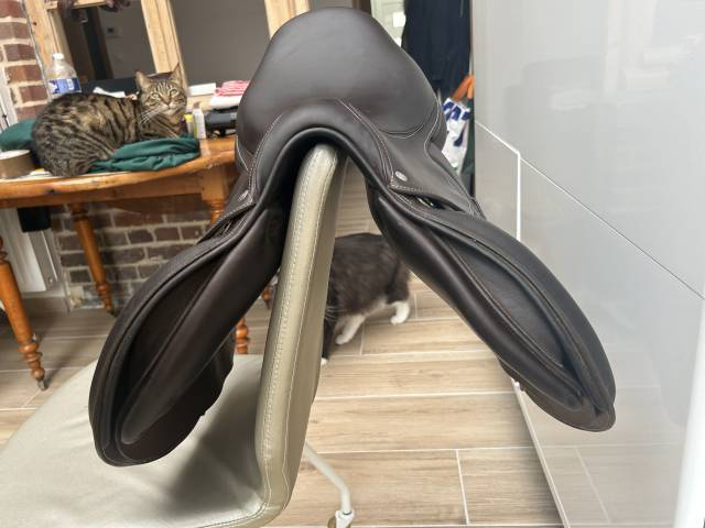 Selle Forestier S&eacute;oul taille 17,5