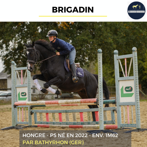 Brigadin - ps - 4 ans