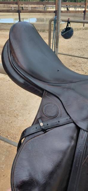 Selle Pariani marron - taille 18