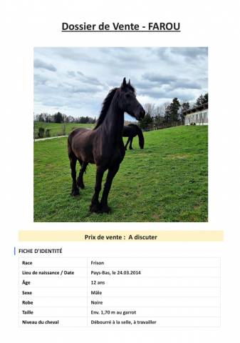 2 magnifiques frisons à vendre, si possible ensemble