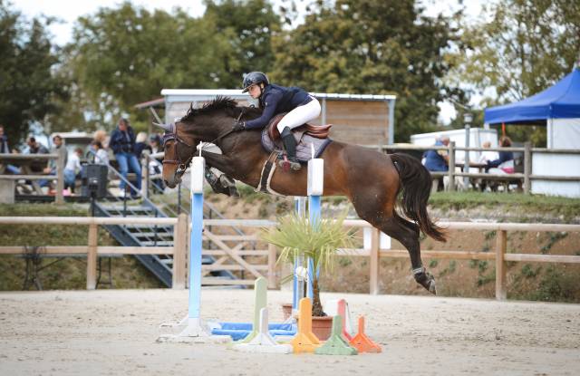 Top jument 8 ans à vendre 