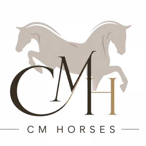 Cm horses – courtage chevaux de sport dressage & cso