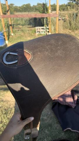 selle gbs