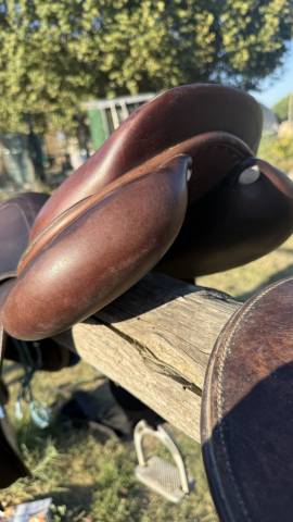 selle gbs
