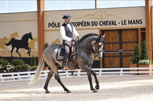 Coaching privé – dressage, équitation de légèreté 