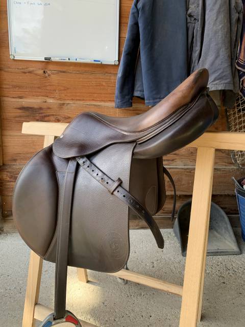 Selle forestier séoul 