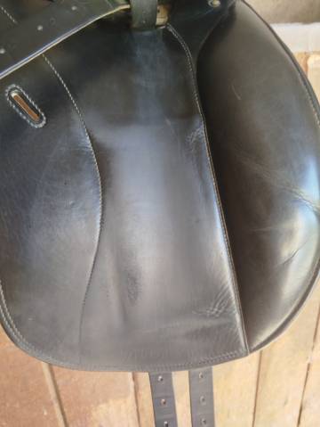 Selle forestier 