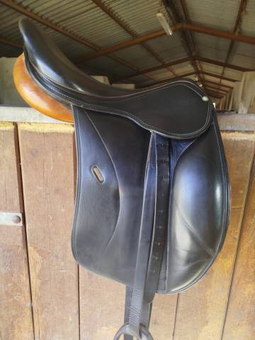 Selle forestier 