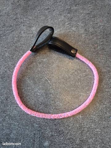 Frontal cheval poney COB