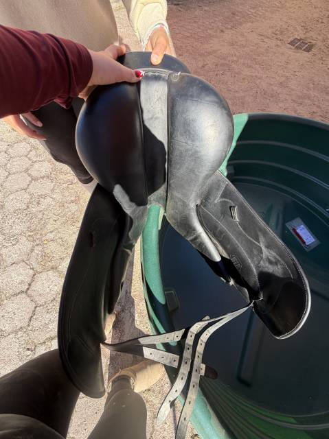 selle forestier classic dressage 17 pouces