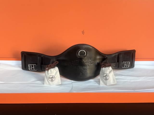 Sangle dressage 