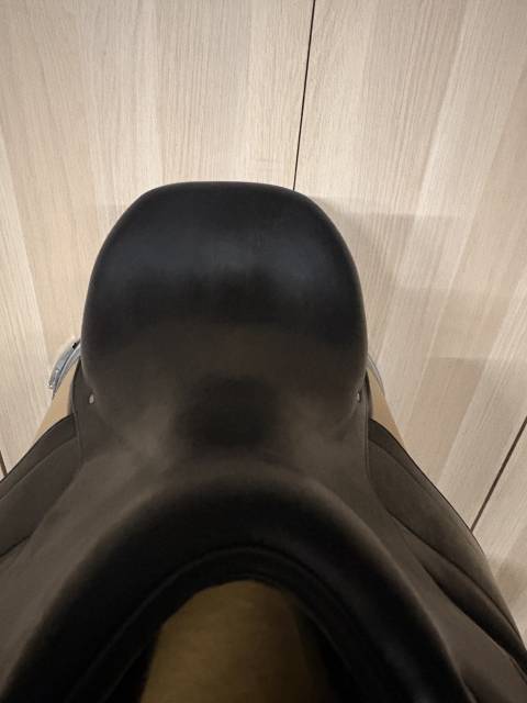 Selle Dressage Arp&egrave;ge 1