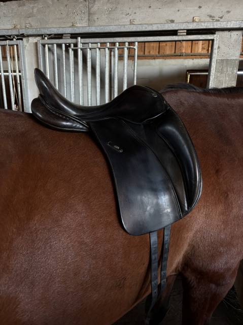 Selle de dressage Majorman