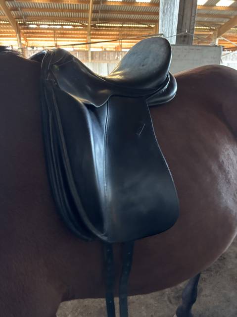 Selle de dressage Majorman