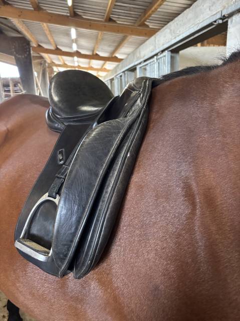 Selle de dressage Majorman