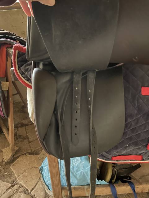 Selle type islandais 
