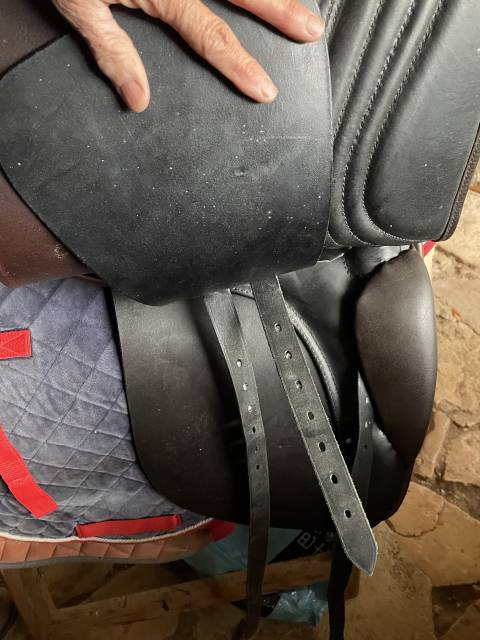 Selle type islandais 
