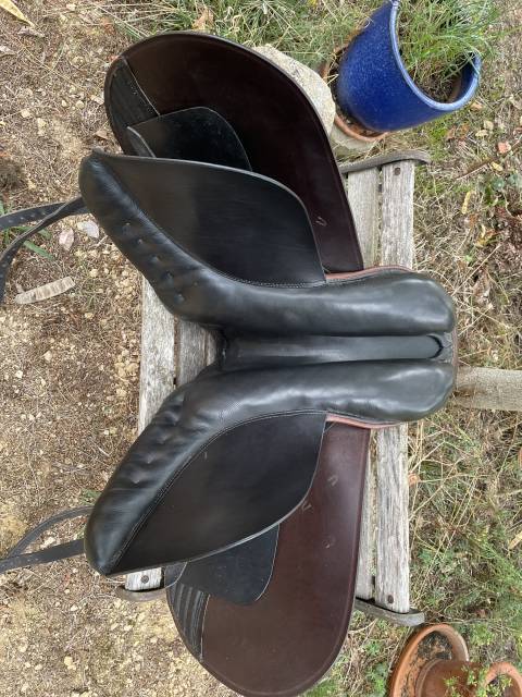 Selle type islandais 