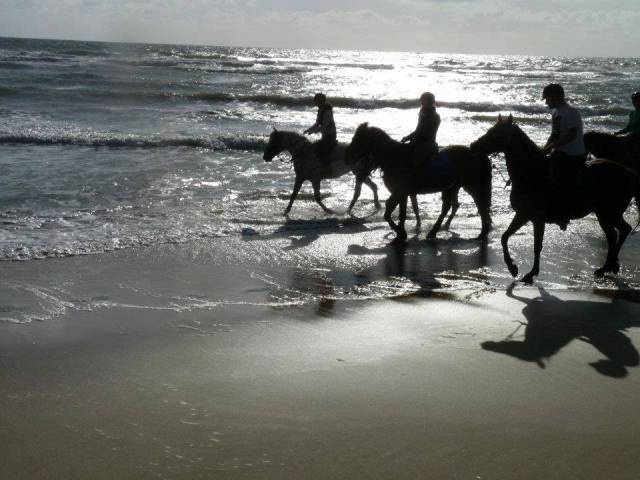 Ate ou bpjeps tourisme