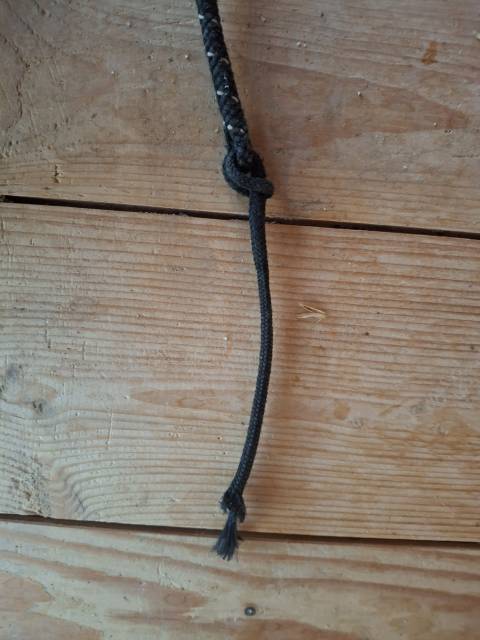 Stick Dressage Fleck 