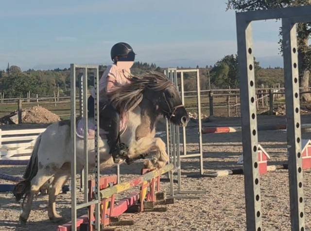 Fantastique ponette pp 109cm 