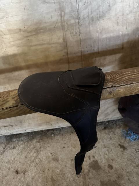 Sangle bavette CWD