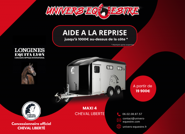 Promotion - van cheval liberte 4 places maxi 4