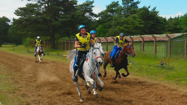 Equitation d'extérieur Endurance Ile de France (sud 78)