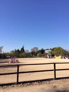 Pension chevaux 06