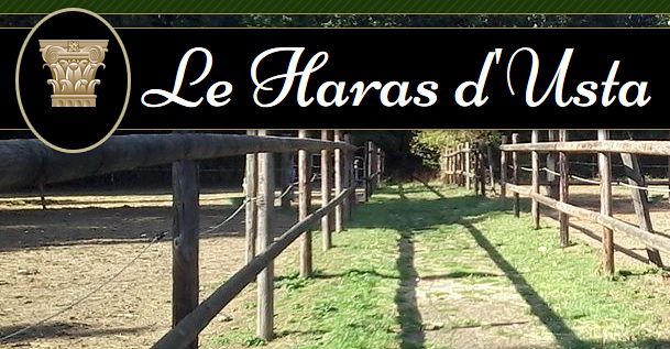 Le haras d' usta écurie de propriétaires