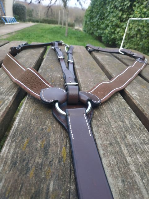 Collier de chasse neuf