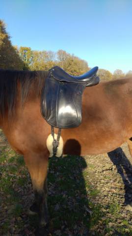 Selle de dressage forestier 18'