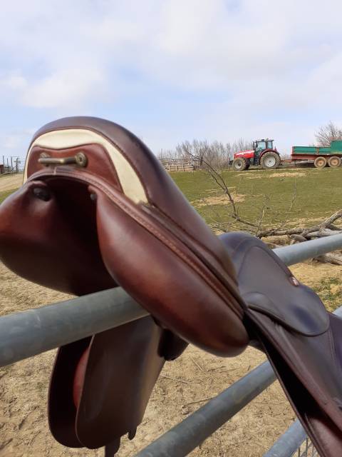 Selle Meredith, Prestige