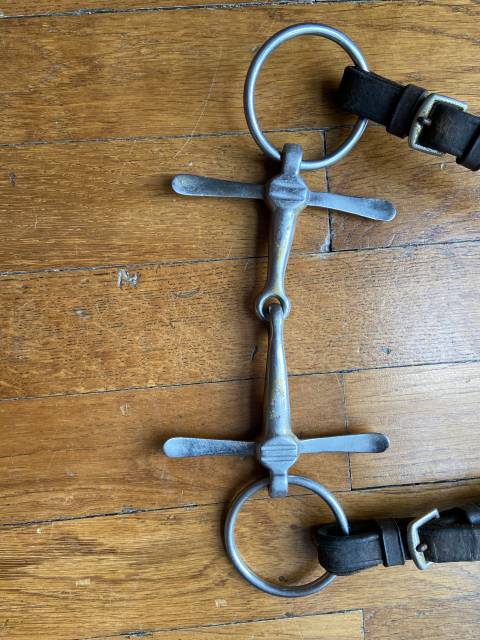 mors &eacute;ducatif &agrave; aiguilles