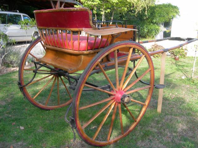 Calèche cheval ancienne et harnais cuir complet