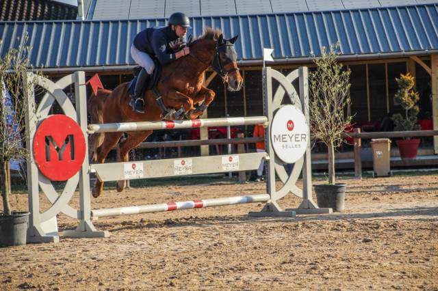 Poney 11 ans 1m48 à louer ou à vendre