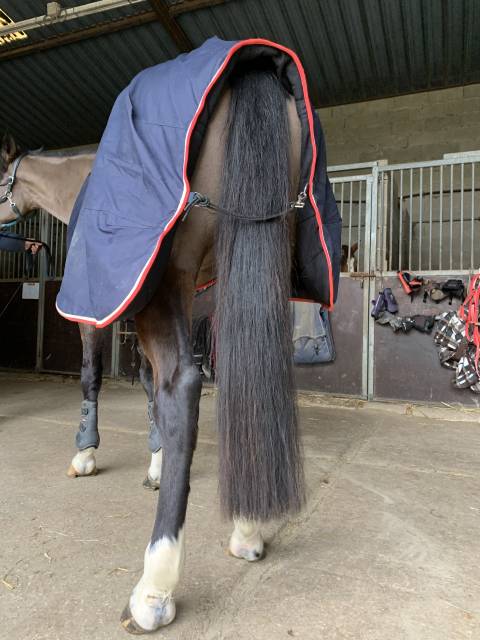 Couverture Pénélope 