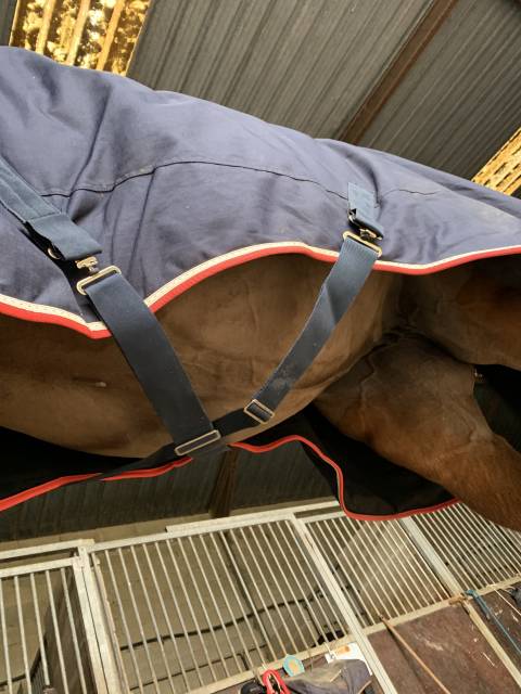 Couverture Pénélope 