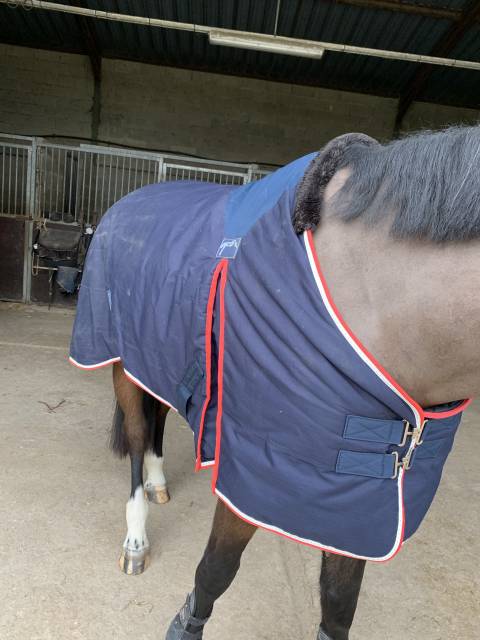 Couverture Pénélope 