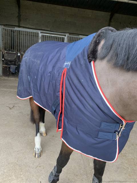 Couverture Pénélope 