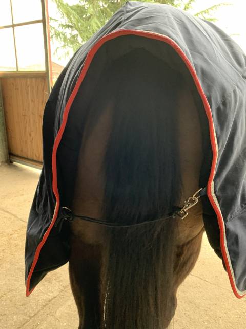 Couverture Pénélope 