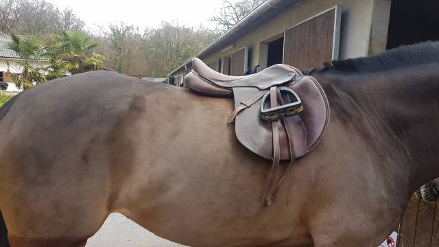 Selle Mixte Time Rider