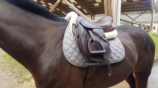 Selle Mixte Time Rider