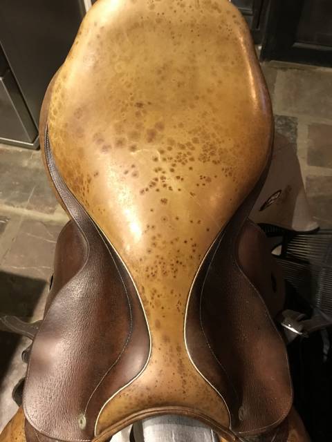 Selle herve godignon 